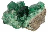 Fluorescent Fluorite Crystals - Rogerley Mine #97887-2